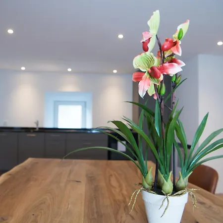 Apartment Bergzauber Nexara For 6 People With Privat Sauna Lenz